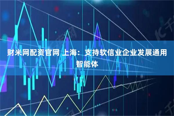财米网配资官网 上海：支持软信业企业发展通用智能体