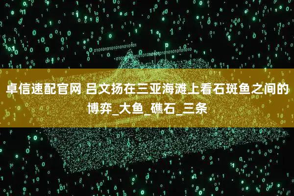 卓信速配官网 吕文扬在三亚海滩上看石斑鱼之间的博弈_大鱼_礁石_三条
